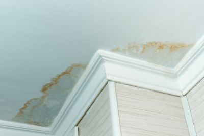 Ceiling Leak Repair, Ceiling Leak Repair, Washington