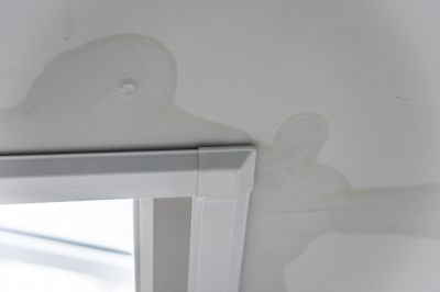 Leaking Ceiling Repair
